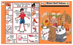 hilokal-notebook-image