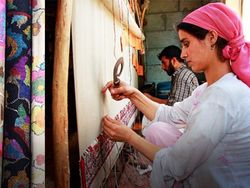 hilokal-notebook-image