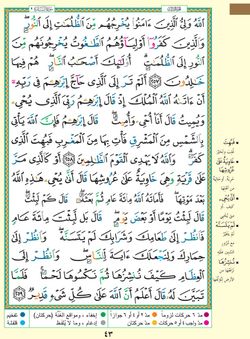 hilokal-notebook-image