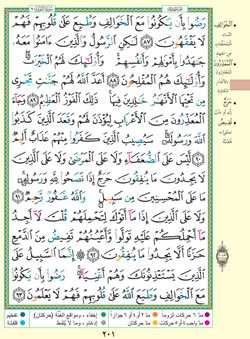 hilokal-notebook-image