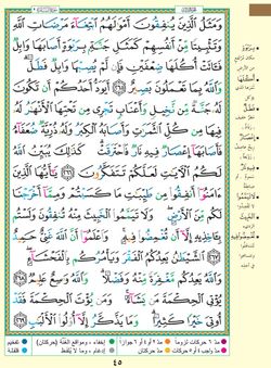 hilokal-notebook-image