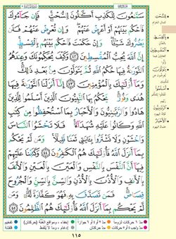 hilokal-notebook-image