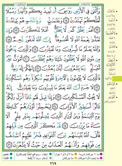 hilokal-notebook-image