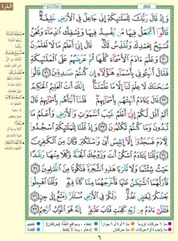 hilokal-notebook-image