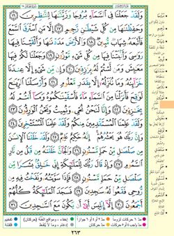 hilokal-notebook-image