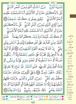 hilokal-notebook-image