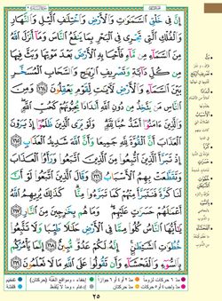 hilokal-notebook-image