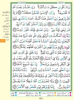 hilokal-notebook-image