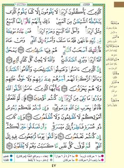 hilokal-notebook-image