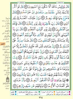 hilokal-notebook-image
