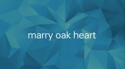 hilokal-notebook-image