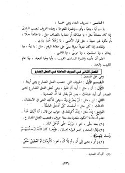 hilokal-notebook-image