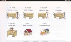 hilokal-notebook-image