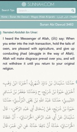 hilokal-notebook-image