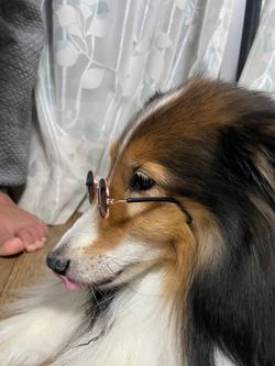 hilokal-notebook-image