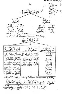 hilokal-notebook-image
