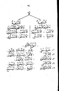 hilokal-notebook-image