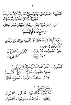 hilokal-notebook-image