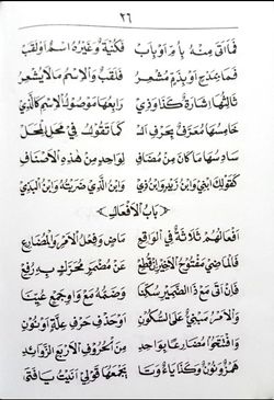 hilokal-notebook-image