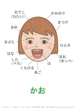hilokal-notebook-image