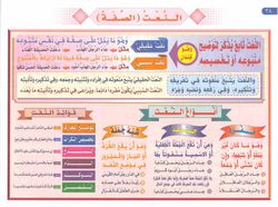 hilokal-notebook-image