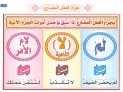 hilokal-notebook-image