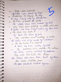 hilokal-notebook-image