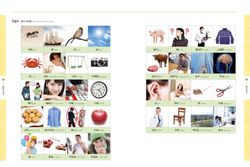 hilokal-notebook-image