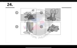 hilokal-notebook-image