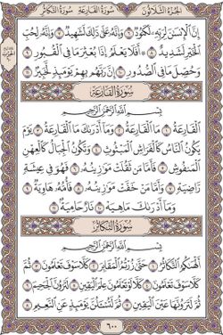 hilokal-notebook-image