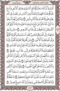 hilokal-notebook-image