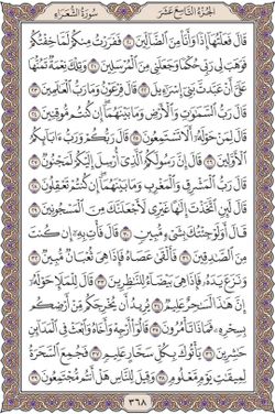 hilokal-notebook-image