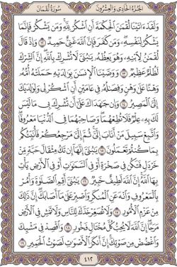 hilokal-notebook-image