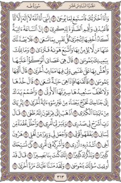 hilokal-notebook-image
