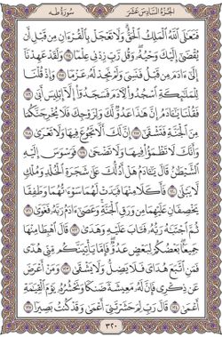 hilokal-notebook-image