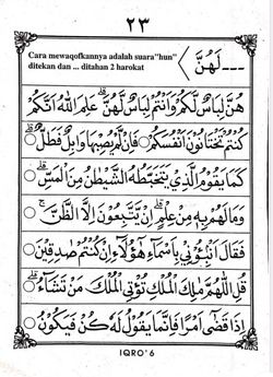 hilokal-notebook-image