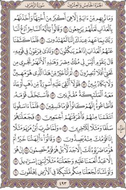 hilokal-notebook-image