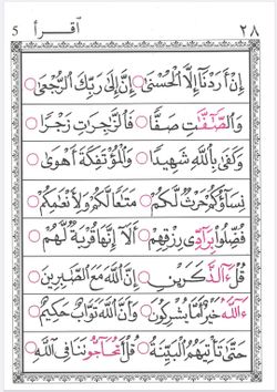 hilokal-notebook-image