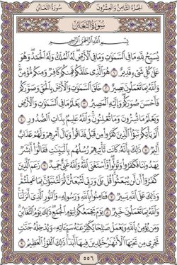 hilokal-notebook-image