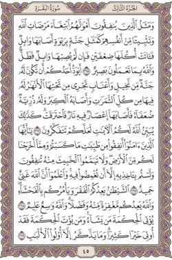 hilokal-notebook-image