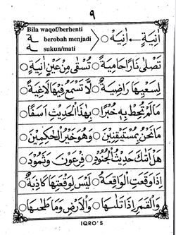 hilokal-notebook-image