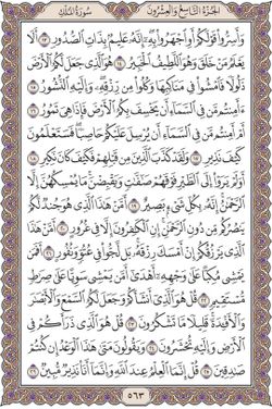 hilokal-notebook-image