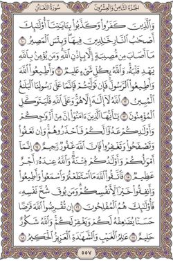 hilokal-notebook-image