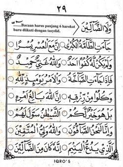 hilokal-notebook-image