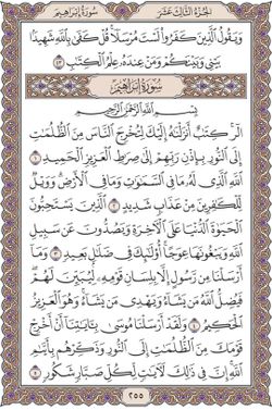 hilokal-notebook-image