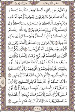 hilokal-notebook-image