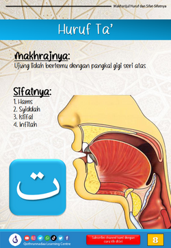 hilokal-notebook-image