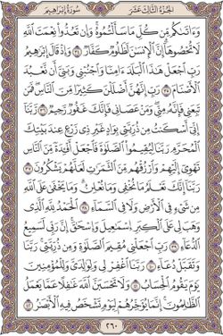 hilokal-notebook-image