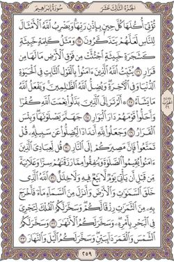 hilokal-notebook-image