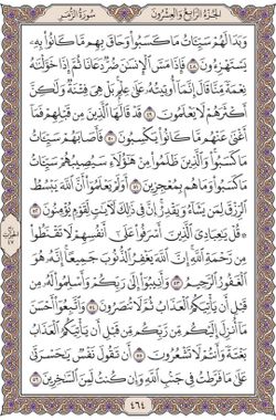 hilokal-notebook-image